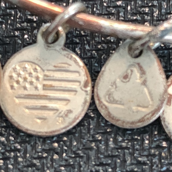 Alex and Ani Blue December Birthstone Bracelet - Picture 4 of 7